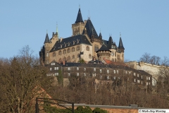 mg_0880